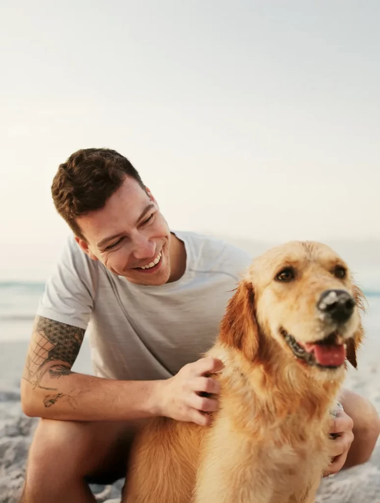 ibogaine insight by brad and caroline verticle brock