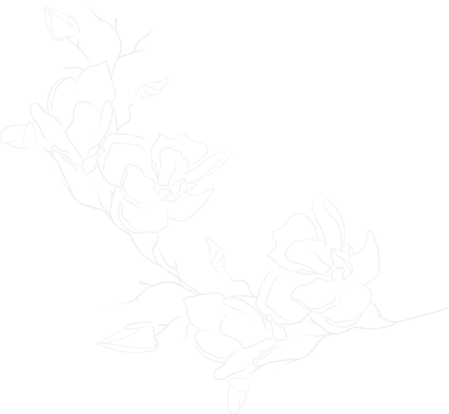 botanic element ibogaine insight