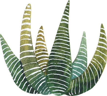 ibogaine insight by brad and caroline cactus icon